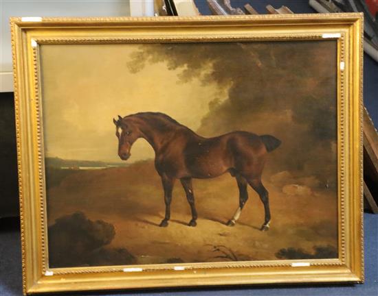Early 19th century English School Brown horse in a landscape 18 x 23.25in.